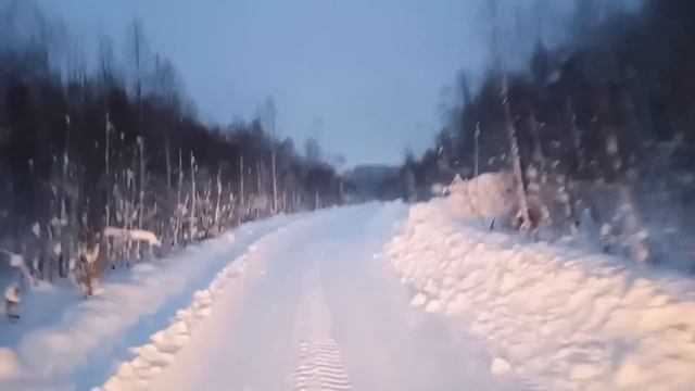 6 января 2024.Прогулка по тайге. Шаг 5.Итог простой пришел тягач. смотреть онлайн