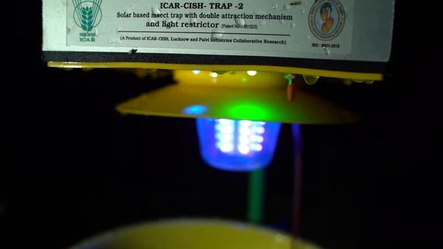 ICAR-CISH TRAPS смотреть онлайн