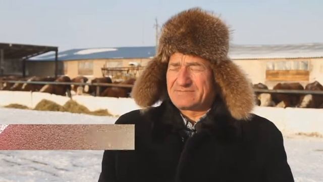 Дархан дала. Сергеевка. Ақ ұлпаға оранған орта