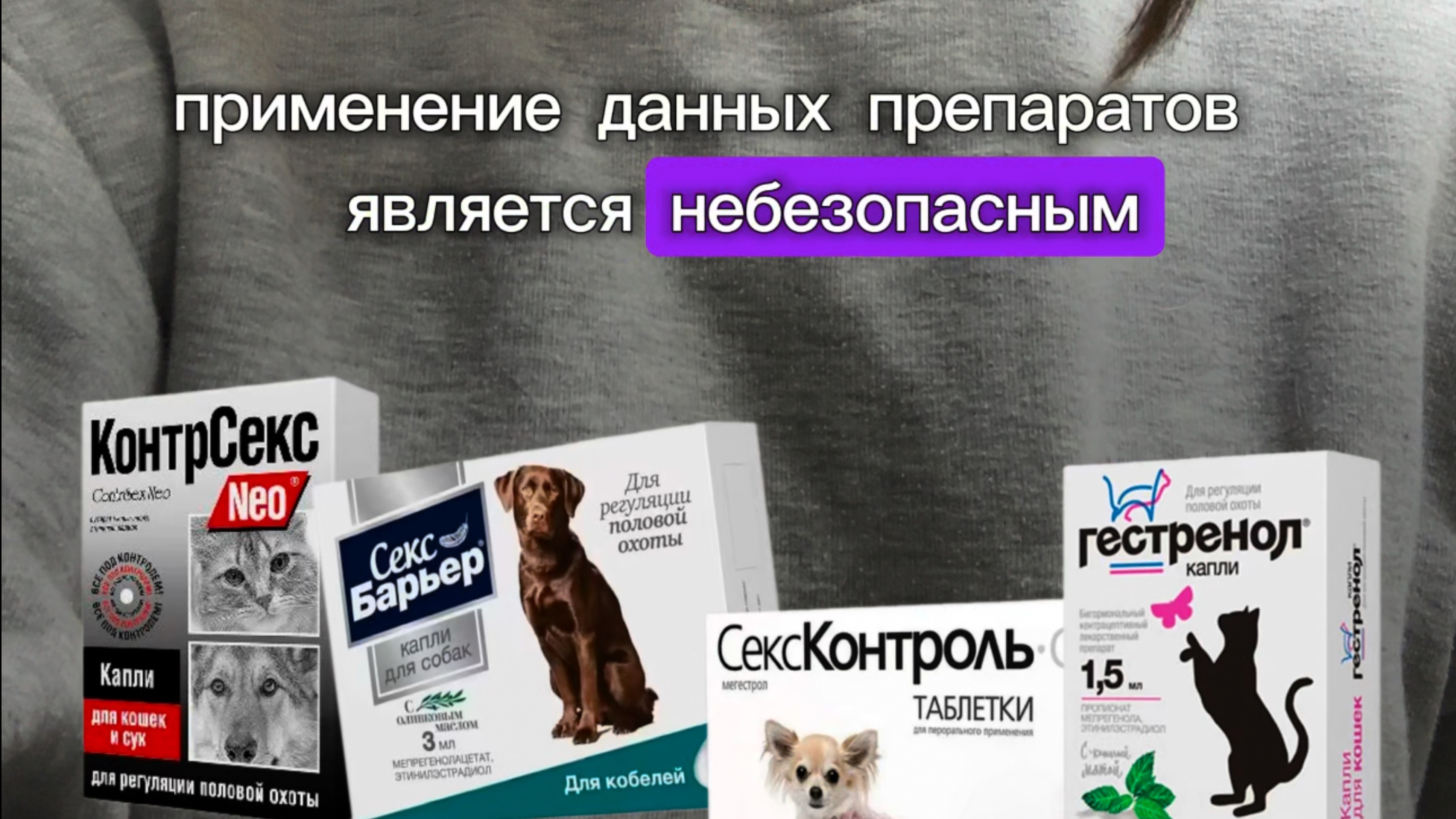 ЧЕМ ОПАСНЫ ЭТИ ПРЕПАРАТЫ ДЛЯ КОШЕК И СОБАК