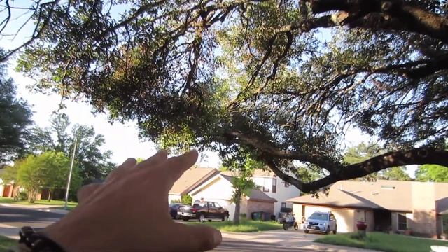 LET'S FLIP SOME ITEMS LOCALLY ON FACEBOOK MARKETPLACE смотреть онлайн