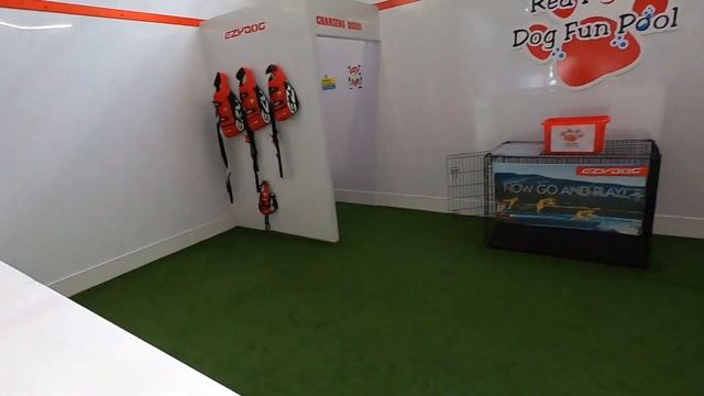 Dog Friendly Swimming Pool in Glasgow смотреть онлайн