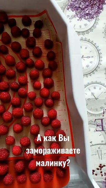 Заморозка малины смотреть онлайн