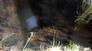 Юмз с новым распределителем  р 200