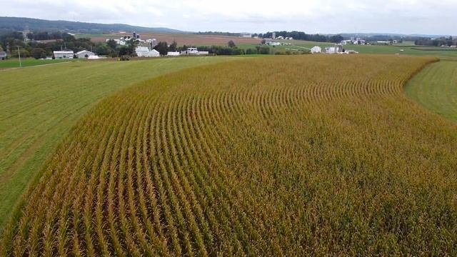 DJI Mavic Mini - Flying Around The Farm Part 2 смотреть онлайн