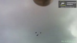 Подствольная камера СК-002HD