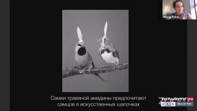 «Химия слова». Нейробиолог Николай Кукушкин «Человек как две формы жизни» 23.12.2020