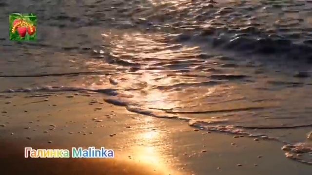 Колесниковы /Обзор Влогов /Показательные выступления /Игра со зрителями/ смотреть онлайн