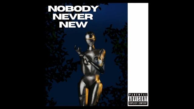 Bantawa - Nobody Never New (feat. Bipashwee & Trinlay ) смотреть онлайн