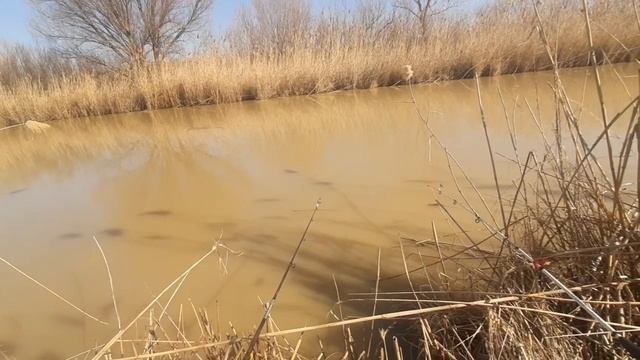 рыбалка в марте 2025. открытие сезона