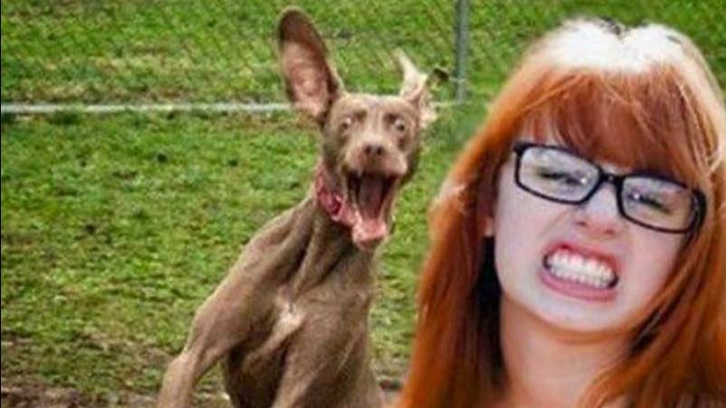 Я РЖАЛ ДО СЛЕЗ😂 15 Минут ОТБОРНЫХ ПРИКОЛОВ 2025 Смешные видео - Лучшие ПРИКОЛЫ Март #18 смотреть онлайн