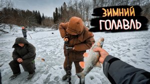 Зимний голавль: уроки ловли от Коли Чемпиона