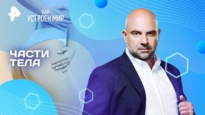 Части тела — Как устроен мир с Тимофеем Баженовым (10.03.2025)