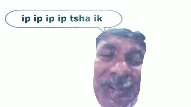 turi ip ip ip смотреть онлайн