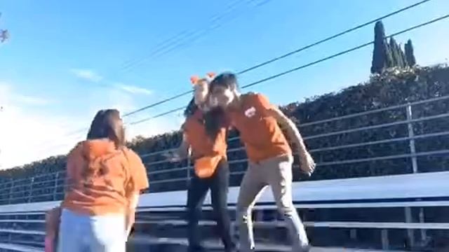 SW SOPHOMORES CHEER 2018 смотреть онлайн