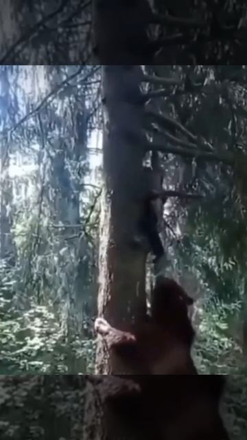 Бывает и такое смотреть онлайн