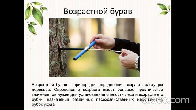 Бурав Пресслера смотреть онлайн