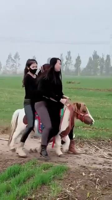 3 Girls Funny Pony Moments !! Training And Riding Pony !! 1131