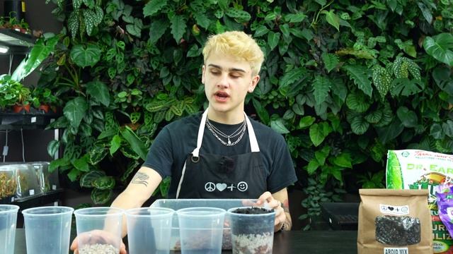 Our SECRETS To AROID Soil Mixes смотреть онлайн