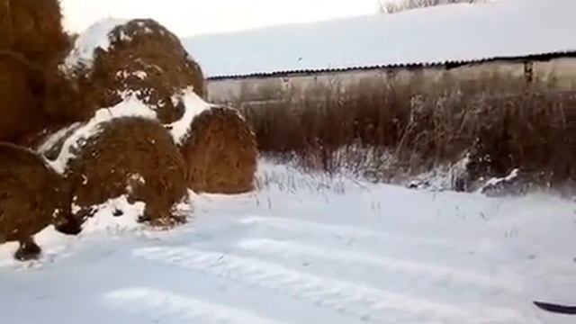 ЮМЗ, погрузка соломы смотреть онлайн