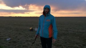 ПОМИДОРЫ В ЧИСТОМ ПОЛЕ