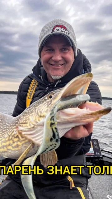 Щуки гиганты на Хвостатого Гиганта - Giant Pig Shad Tail #fishing #щука #рыбалка #top смотреть онлайн