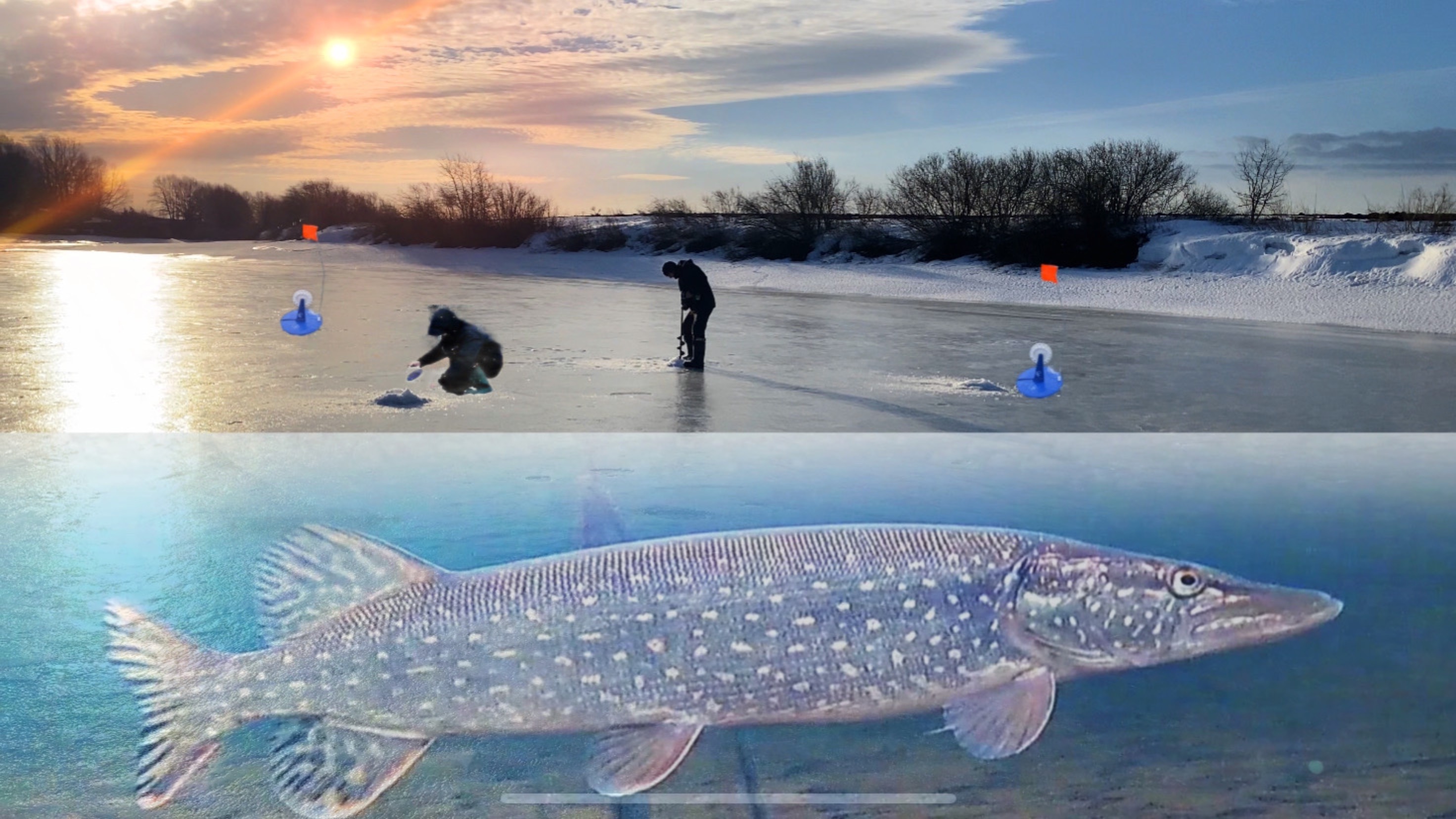 Смотри ЗАГАР,вот это ОНА ДАВИТ!!ЩУКА НА ЖЕРЛИЦЫ 2025!!ЛОВЛЯ ПЛОТВЫ И ЩУКИ В МАРТЕ! смотреть онлайн