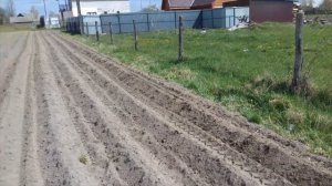 МТЗ 152. Посадка картофеля.