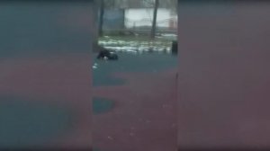 До/После. Команда место