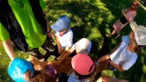 До/После. Результаты работы на курсе "Базовая подготовка спортивной собаки"