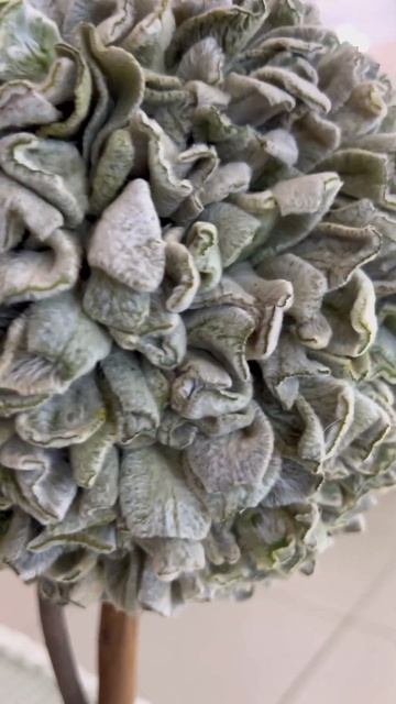 Топиарий с розами и чистецом смотреть онлайн