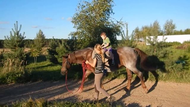 Саша смотреть онлайн