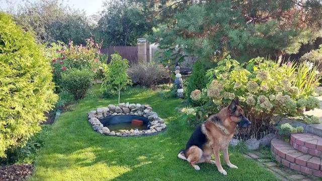 Бабье Лето.  Уборка Урожая.