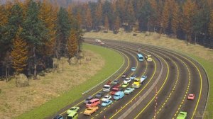 3D Мультики про машинки. Гонки машинок: Машины ловят грабителя. Машинки и гонки - мультфильм 3д