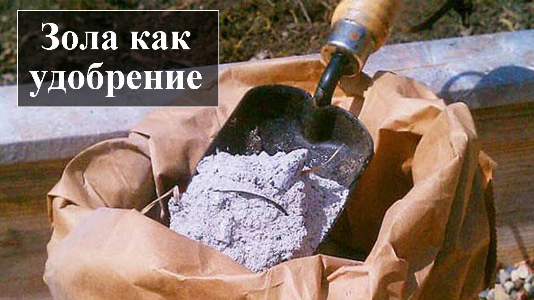Как использовать золу в качестве удобрения смотреть онлайн