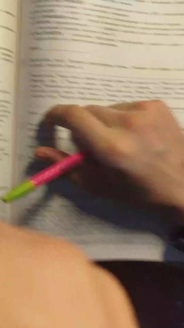 сидим делаем уроки