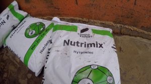 Подкормка пшеницы по листу | Азотом и не только