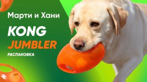 KONG JUMBLER FOOTBALL / РАСПАКОВКА КОНГА / НЕУБИВАЕМАЯ ИГРУШКА ДЛЯ СОБАК / ВУФМИР