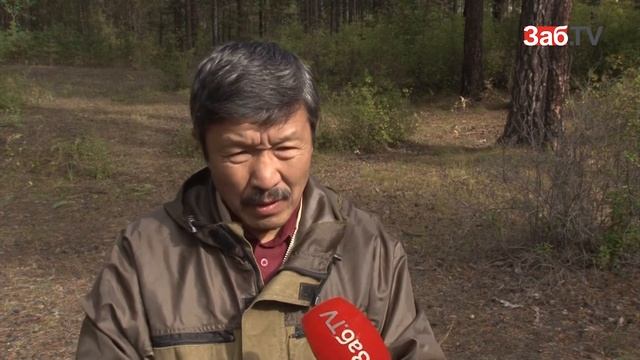 Маленькие обитатели "собачьего коттеджа" переехали в новый дом смотреть онлайн