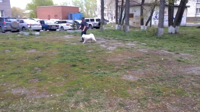 занятия 1 смотреть онлайн