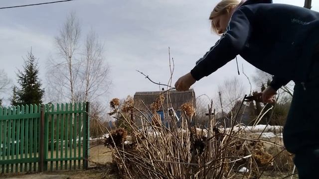 Поездка в деревню🌷Набережная, река Ока