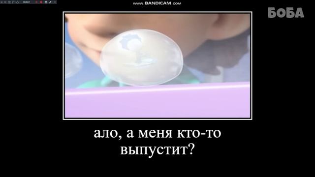 смешные видео смотреть онлайн