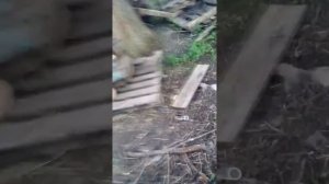 Разбираем ЗАДНИЮ БОРТОВУЮ Т-40