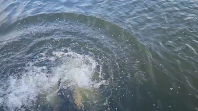 10-03-2025 смотреть онлайн