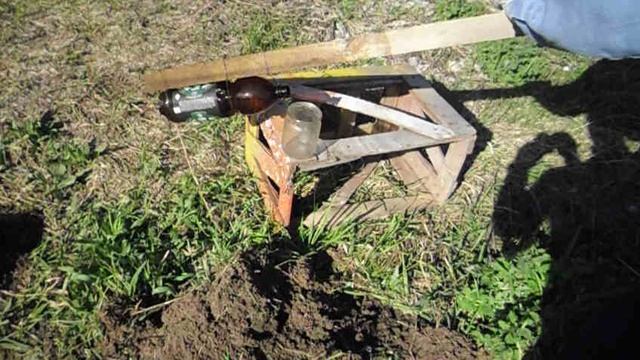 Проверка работы Биореактора через 5 дней.