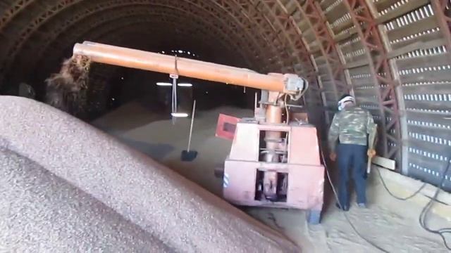 Ядовитый душ для семян в Марий Эл смотреть онлайн