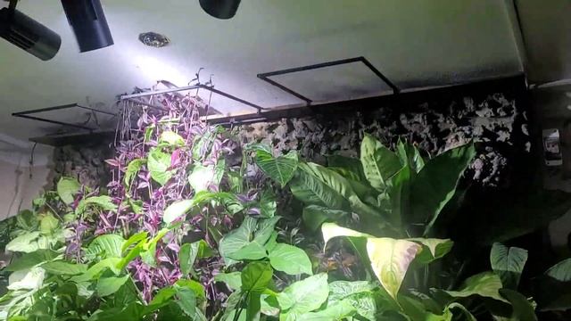 Аквариумные путешествия