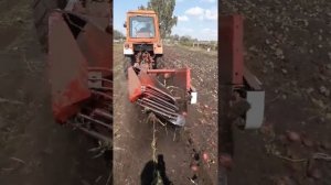 Капалка л651