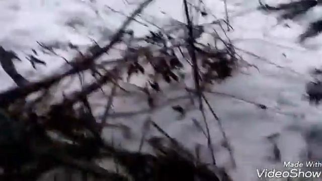 Нашли потайной шалаш !!!😮 Ужас смотреть онлайн