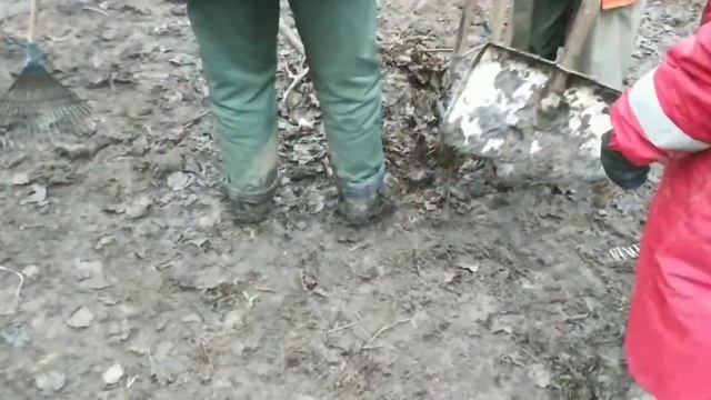 ГУСПП Южное за пределами агротехнического периода ворует листья у природы. 15 января 2020 смотреть онлайн